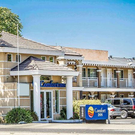 Comfort Inn Palo Alto Exterior foto